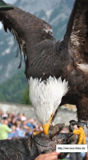  Österreich