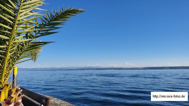  Mit Blick auf Österreich und Schweiz