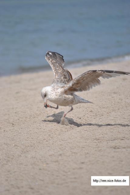  Insel Poel