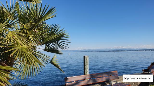  Mit Blick auf Österreich und Schweiz